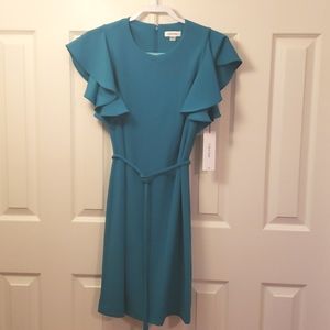 New With Tags Calvin Klein Women's Ruffle Sleeve Dress Size 8